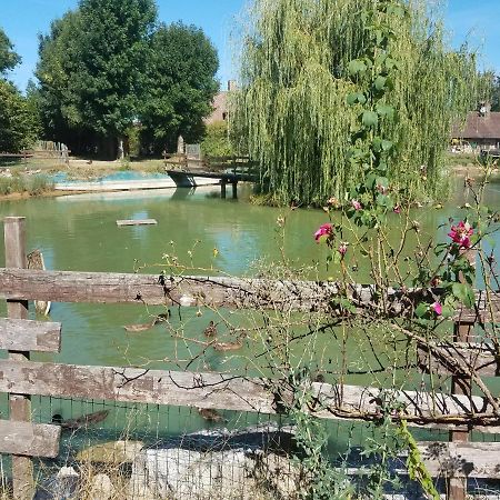 Ferme Bressane Les Arums Mervans Экстерьер фото